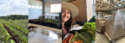Nourish Food Club