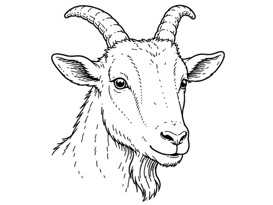 Nourish Food Club raw-goat-dairy 