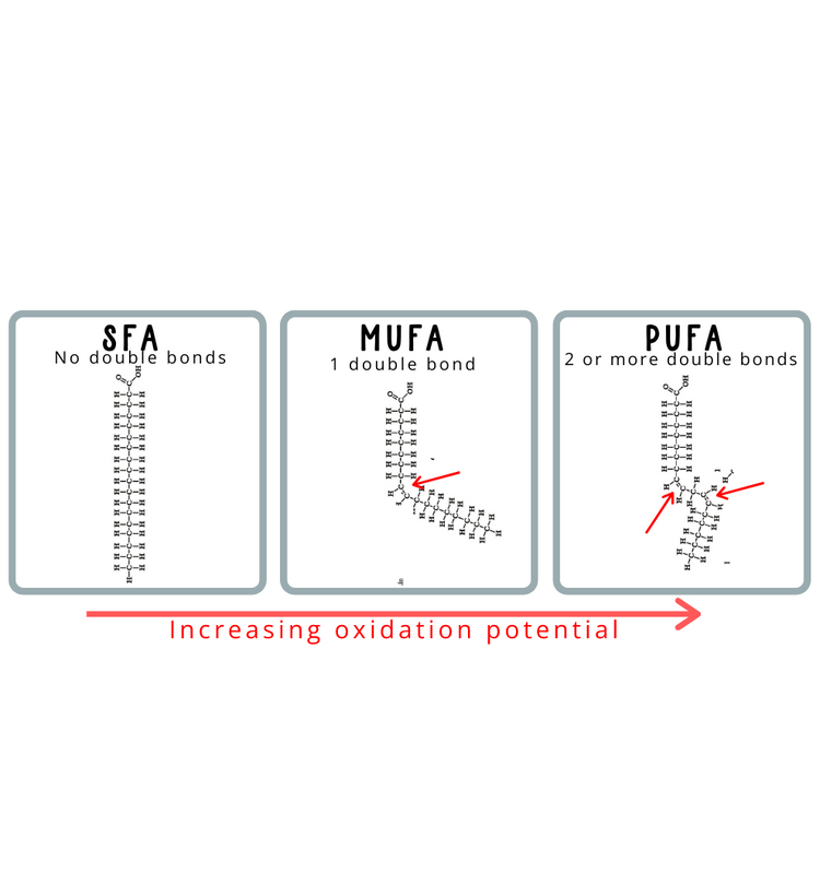 What Are PUFAs – Nourish Food Club